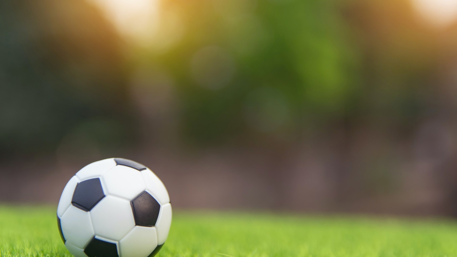 Billede af fodbold på sløret baggrund - Picture of football with a blurred background